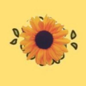 Meet your Posher, Eva